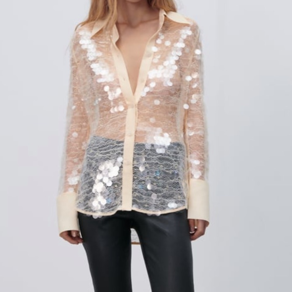 Semi sheer sequin button down blouse